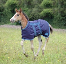 Shires Highlander Foal Rug ALL