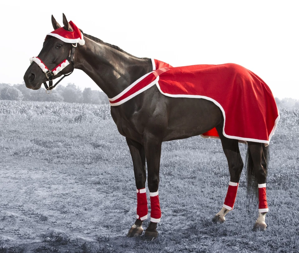 Christmas Holiday 2 Ear Santa Cap for Your Horse - Image 2 of 2