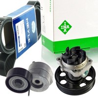 Meyle 6PK1318 Keilrippenriemen-Satz + Wapu FüR Alfa Romeo Fiat Opel Suzuki