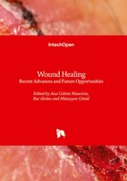 Ana Colette MauríCio (U. A.) | Wound Healing | Buch | Englisch (2023)