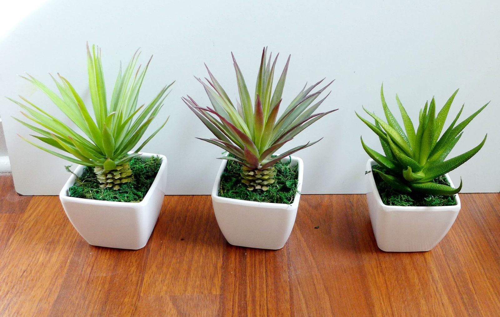 3 Mini Potted Artificial flowers unkillable Succulents Plants With Pot