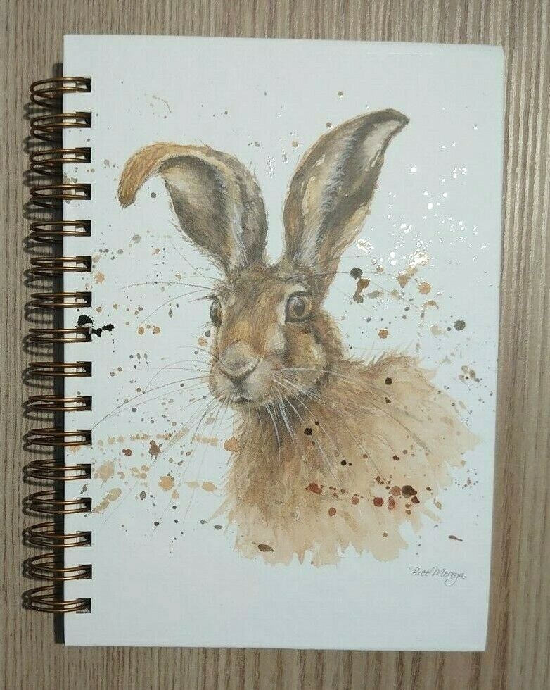 Hugh Hare Cover Notebook (A6) by Bree Merryn-Spiral Bound/Hard Cover/Plain pages