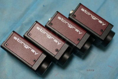   AVT stingray F125B with 90day warranty Free DHL or FedEx #W4