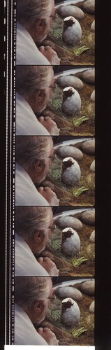Jurassic Park 35mm Film Cell strip very Rare var_a - Picture 12 of 132