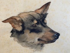 Hundin "FIFI" Sign.: A.D. Mit Rahmen: 24x29,5 cm.