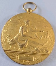 Vintage Agricultural Belgium Gold Look Large Medal