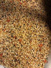 Avian Science Super Finch 3LB Bird Food Seed Mix Premium Nutrition for Finches