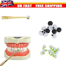 Dental Composite Resin Handle Fast Quick Tool Foam Pads Large/Small Optra Sculpt