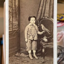 RARE Antique Victorian CDV Photo Boy with Parrot 1800s Original UNIQUE Oddity