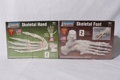 NEW Lindberg Science Kits 71313 Skeletal Hand & 71314 Skeletal Foot