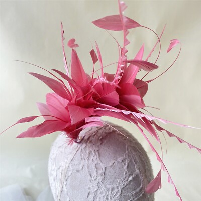 Gänsefeder Blumenhalterung Haarband Hüte Fascinator Kostümherstellung Kunstshow