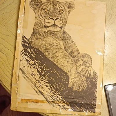 Jack Rosenfeld Lion Pen Ink Drawing Realism Art 1977 Animals Wildlife