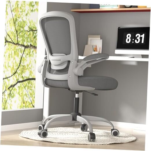Office Chair, Ergonomic Desk Chair with Iron Gray With Gray Frame Modern