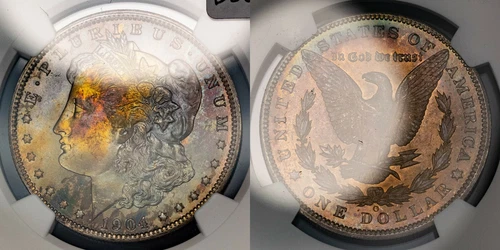 1904-O $1 Morgan Silver Dollar - VAM-38 - Rainbow Toning - NGC MS 64 - B2082