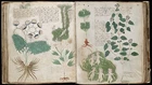 THE VOYNICH MANUSCRIPT ON USB - MYSTERIOUS MEDIEVAL BOOK SECRET LANGUAGE OCCULT