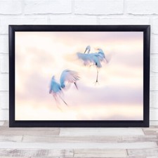 double exposure soft blur nature birds flight Wall Art Print