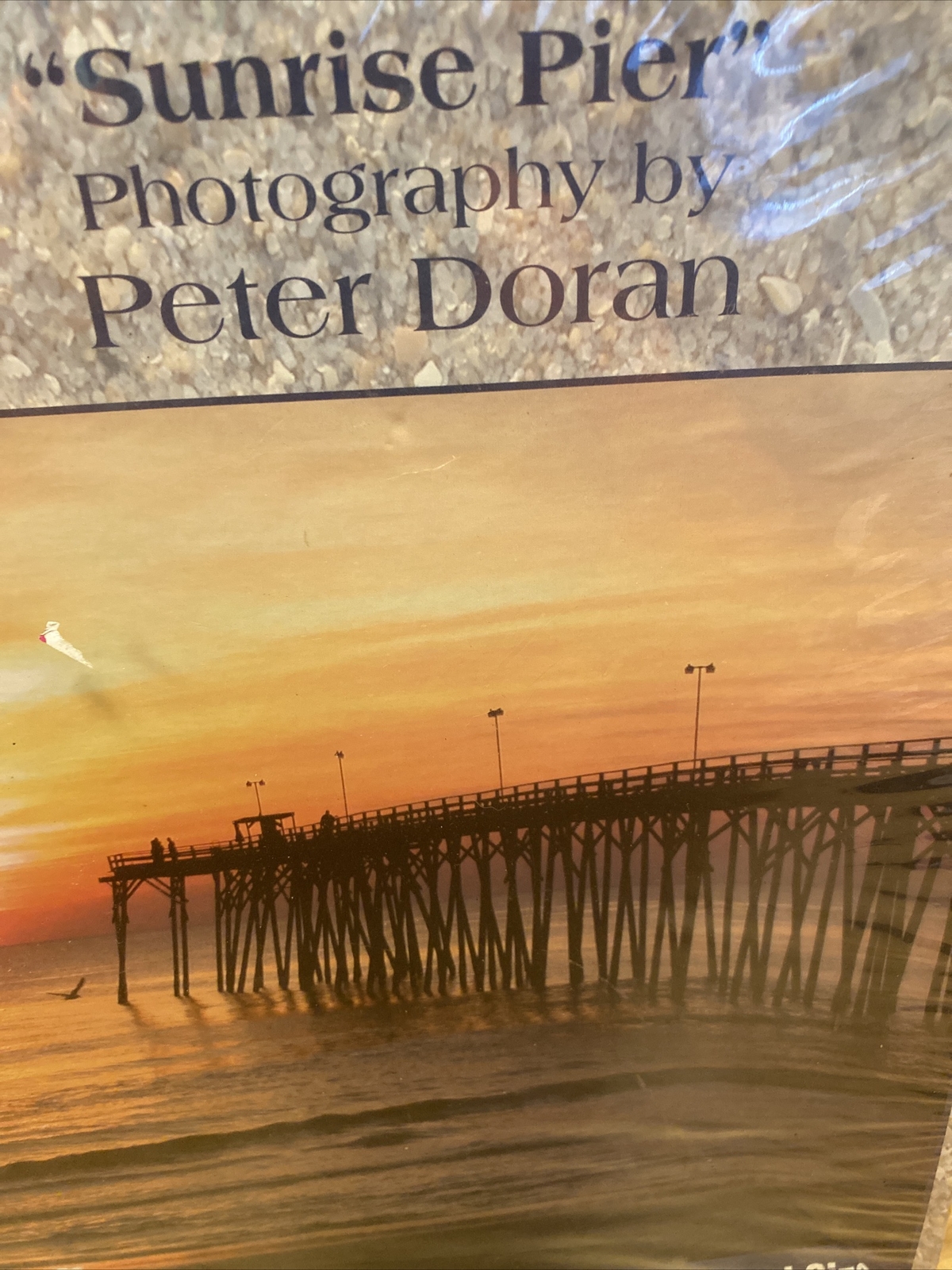 Picture 3 of 13