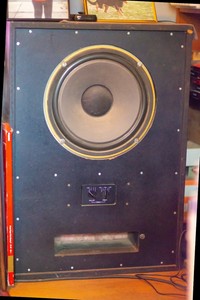 tannoy arden hpd385