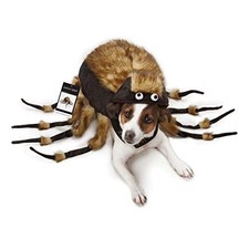 Zack & Zoey Fuzzy Tarantula Costume for Dogs, 12