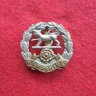 WW1 The Hampshire Regiment Cap Badge British Army