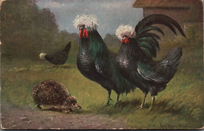 AK Künstler August Müller: Haubenhühner Igel gel. 1922 (Nr. 2537)