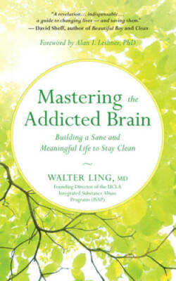Mastering the Addicted Brain: Building a Sane and Meaningful Life to Sta - GOOD