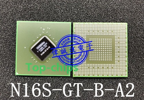 Anfiteatro Di Volterra Le Prime Immagini Del Nuovo Scavo