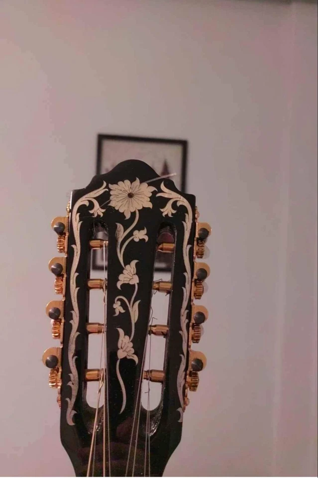 Greek Bouzouki - HARDCASE & PICKUP INCLUDED - PROFESSIONAL - Image 2 of 4