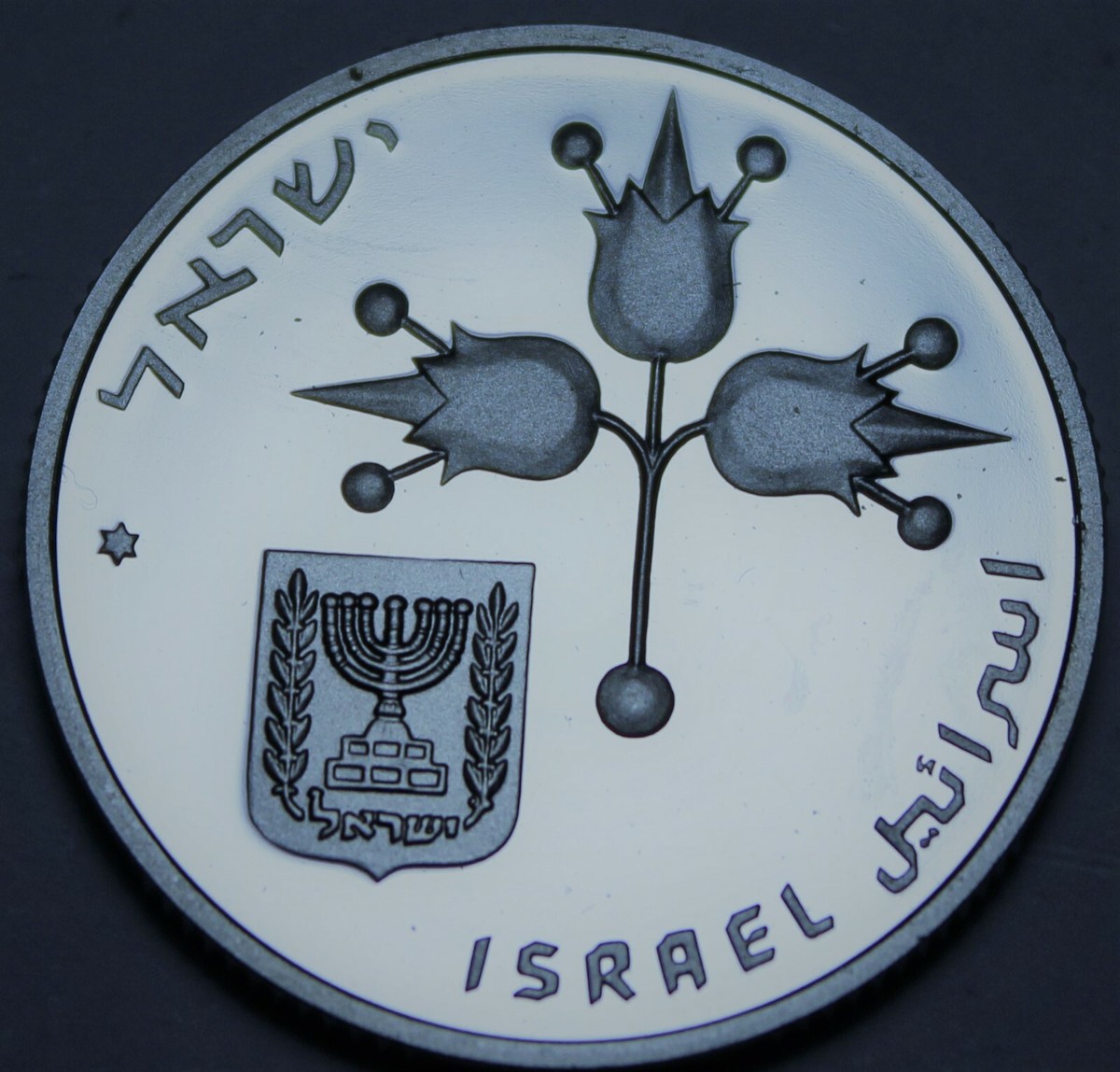 liraページ Israel Lira, JE5740 (1980) RARE Gem Unc~25th Anniv Bank Of Israel