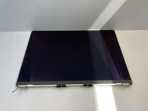 APPLE 16" Laptop LCD Screen Assembly | MACBOOK PRO A2485