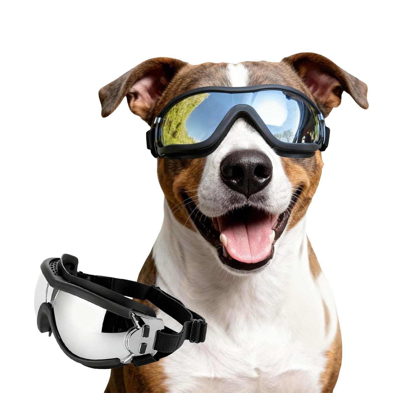 NAMSAN Occhiali Protettivi Cani: Prevenzione UV e Protezione Occhi