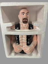 Vintage WWF Stone Cold Steve Austin 3:16 Cookie Jar Unused New Old Stock w Box