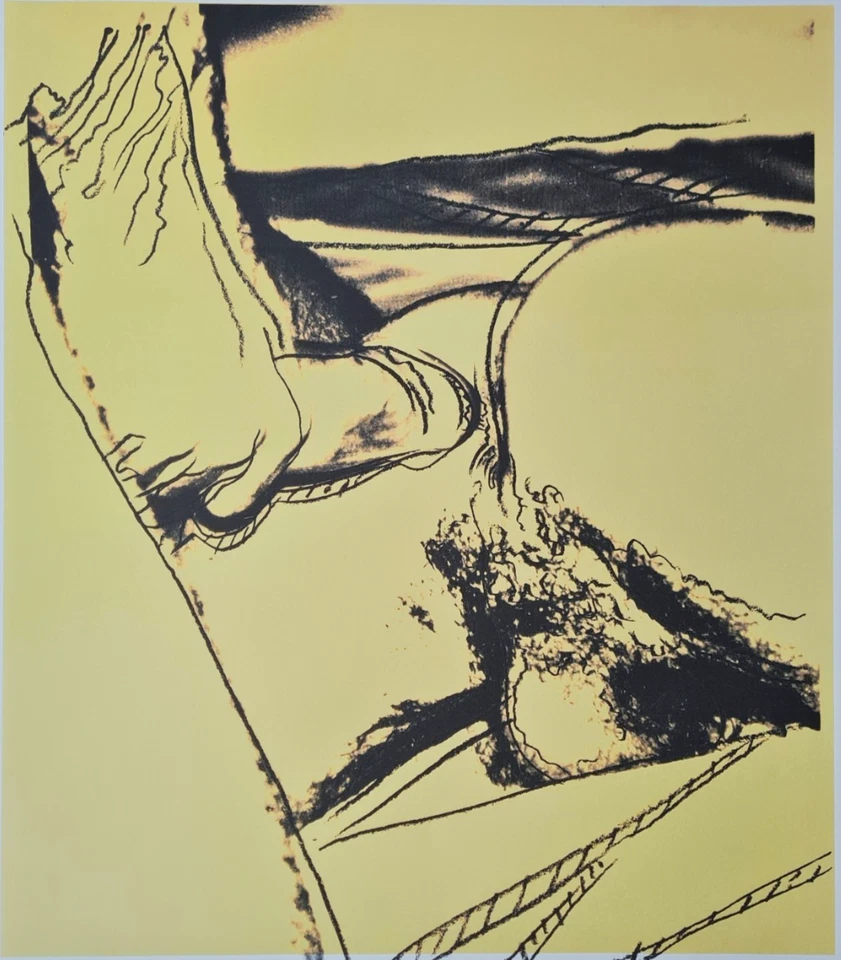 ANDY WARHOL * Sex Parts * signed lithograph * Kunstdruck * limited # 82/100 - Bild 2 von 4