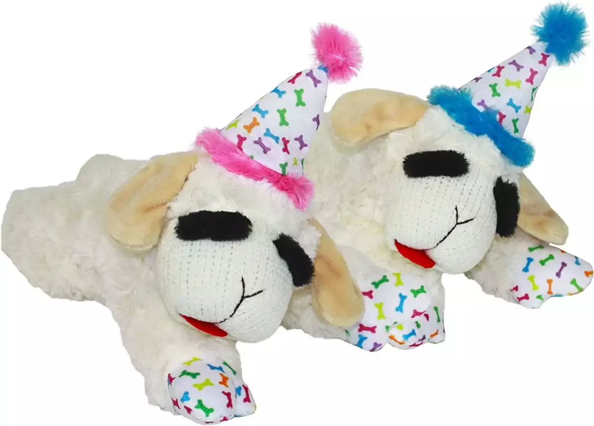 Multipet top