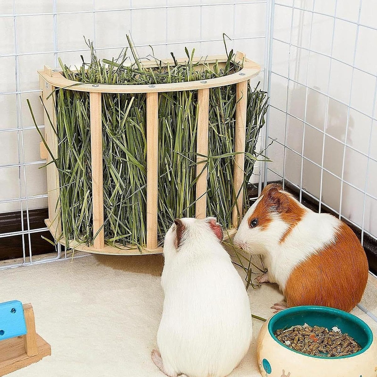 Homemade Guinea Pig Hay Feeders Hay Feeder For Rabbit Convenient