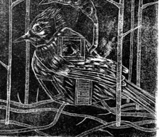 Crow Bird-House Art 15x11" Forrest Home Black Raven Surrealism Nature Steampunk