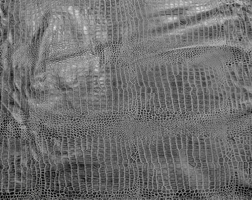 Crocodile Embossed Charcoal Color (100% Genuine skin) - Image 3 of 4