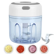 250ML Electric Garlic Chopper Meat Grinder Crusher for Nut Vegetable Fruit Food