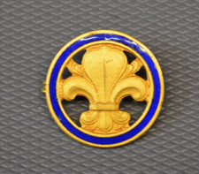 BIJOU ANCIEN - BROCHE ANCIENNE EMAILLE FLEUR DE LYS #68