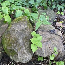 Rockery Stones x5 