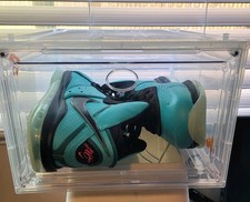 Full Nike LeBron James Shoe Line Gallery and Guide 24