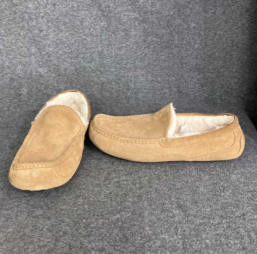 UGG Ascot Ciabatte Mocassino Uomo 14 Marrone Castagno Scamosciato Pelle di Pecora Morbide Comfort