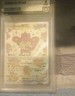 Pokémon Simisear VSTAR Crown Zenith Graded 8 Ultra Rare Holo Card