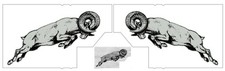 Mopar Dodge Truck Express Leaping Ram Fender Decal Pair Best Available Like Nos Mopar Dodge Truck Express Leaping Ram Fender Decal Pair Best Available Like Nos