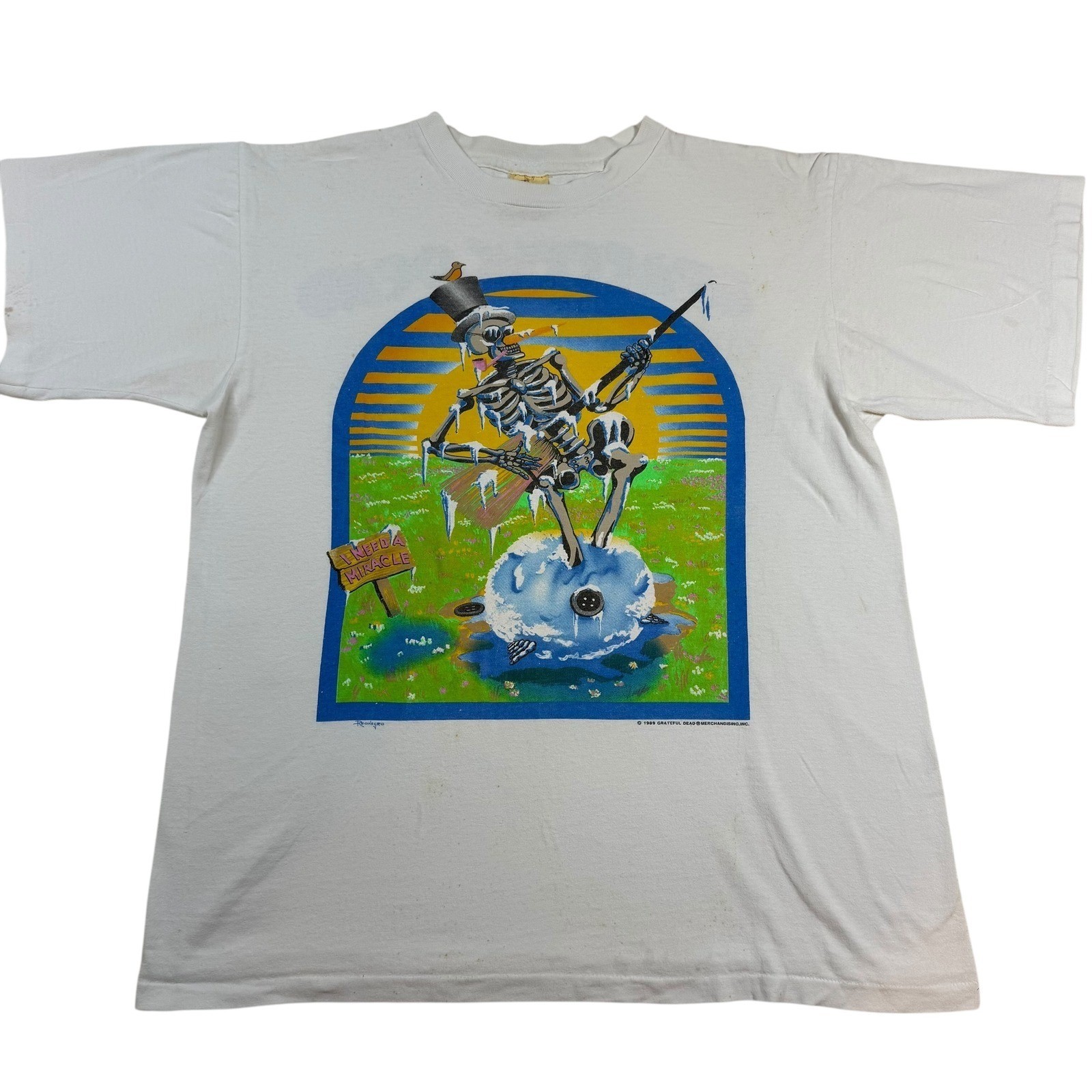 Vintage Grateful Dead Skeleton Spring Tour T-Shirt – 1989, Size L, 100percent Cotton