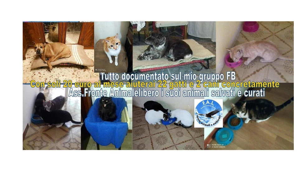 Roberto Ranciati (Roma 1920-? ) Autoritratto 1969 dipinto vendita no profit - Immagine 2 di 2