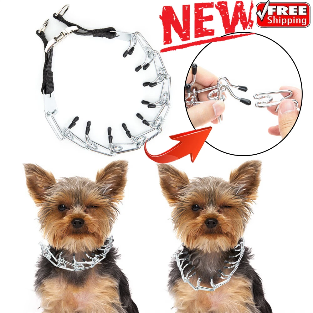 Can Choke Chains Hurt Dog