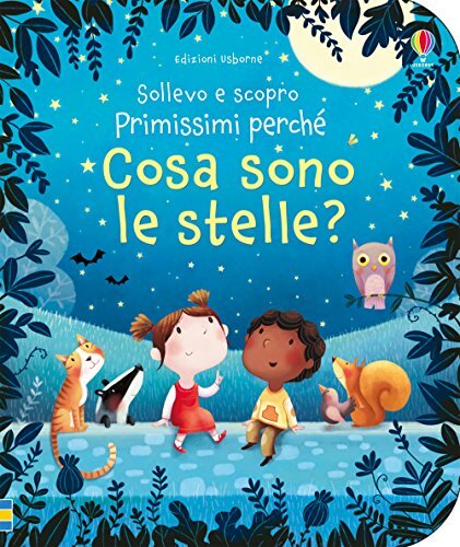 Libri Katie Daynes - Cosa Sono Le Stelle? Ediz. A Colori
