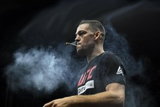 658062 Nate Diaz Wall Art Print Decor Poster