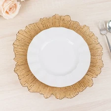 6 AMBER GOLD 13" Round Textured Charger Plates Wedding Party Dinner Light Gray